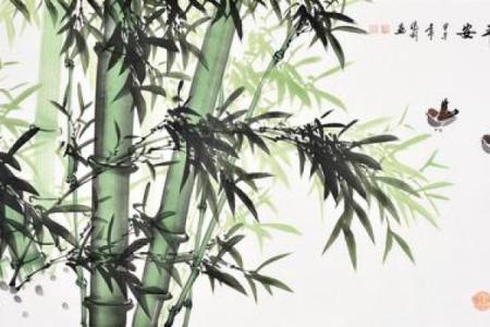 平安竹的风水作用