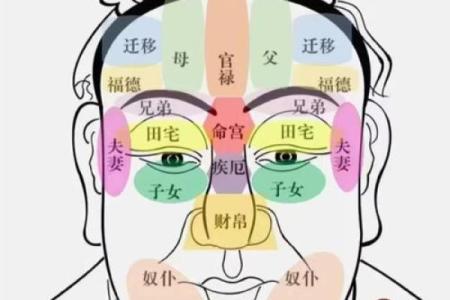 看头发面相知道运势 面相头发算命