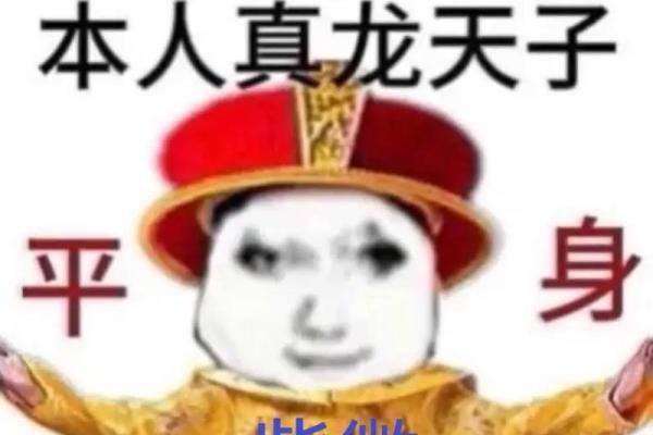 紫薇斗数灵不灵