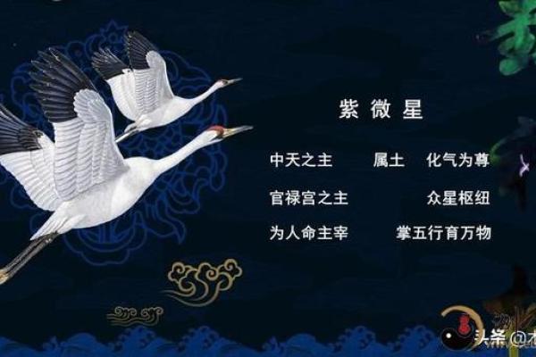 紫薇斗数灵不灵
