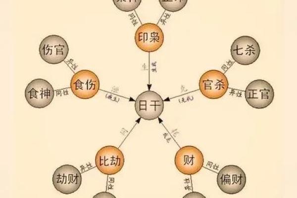 八字中十神在各柱的意义