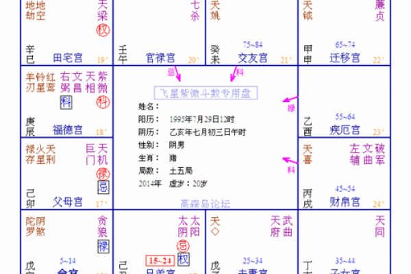 紫薇斗数的神奇