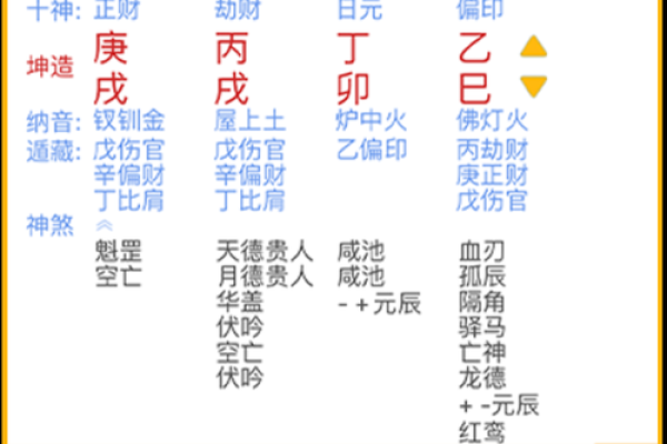 八字排盘软件免费版