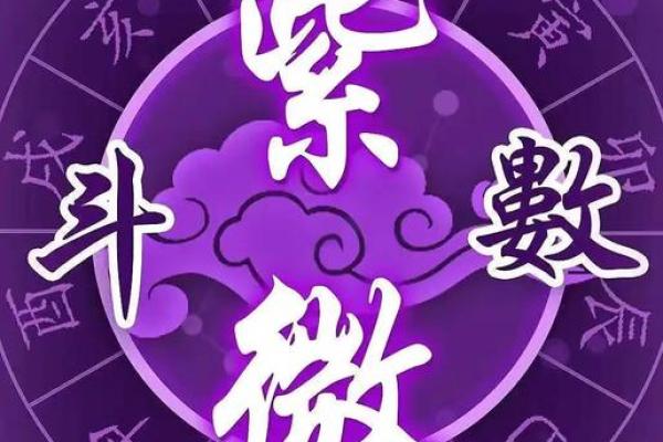 龙池紫薇斗数