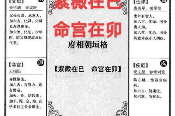 紫薇斗数官方网