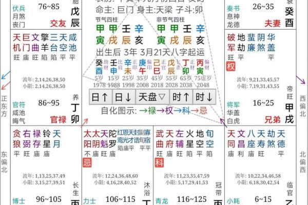 紫薇斗数事业运