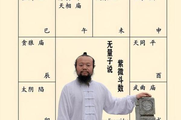 紫薇斗数命宫有哪些