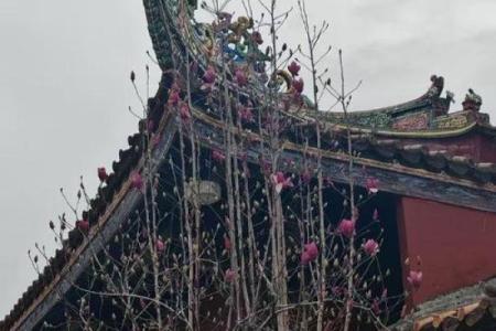 靠近庙宇附近的房子风水
