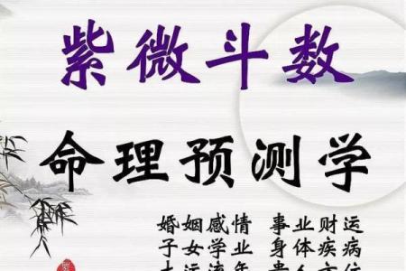 紫薇斗数的神奇