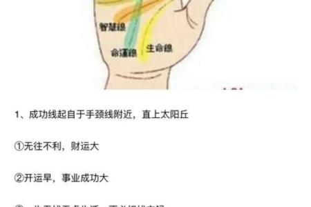 图解：手相纵欲线算命