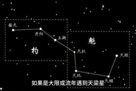 龙池紫薇斗数