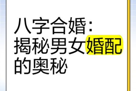男女婚配八字