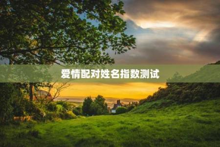 姓名配对测试恋爱指数6 名字恋爱配对测试？