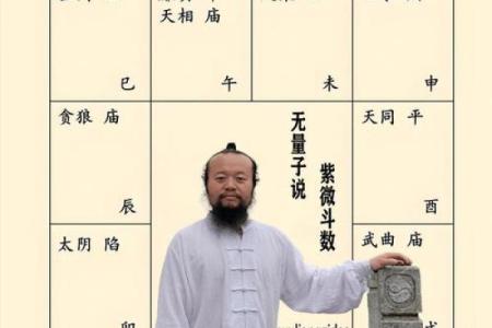 紫薇斗数命宫有哪些