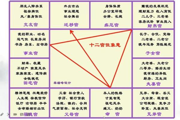 紫薇斗数欧美篇