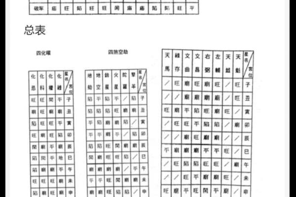 中洲紫薇斗数