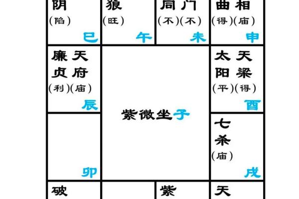 紫薇斗数详细批