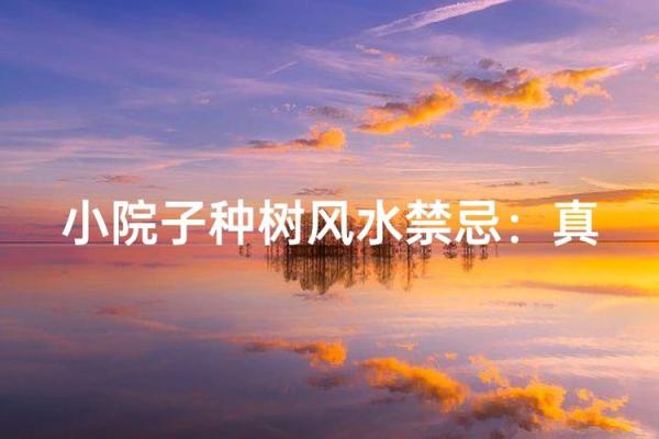 庭院风水的禁忌有哪些呢？