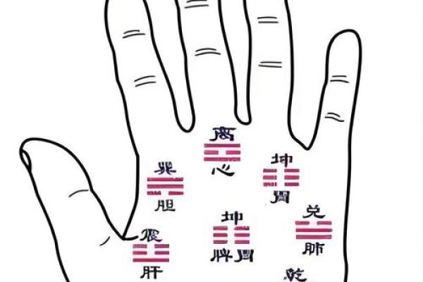 指纹算命图谱