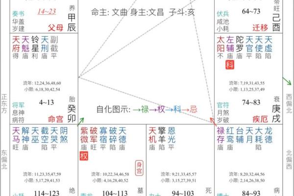紫薇斗数大运地空