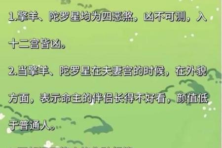 包含紫薇圣人斗数的词条