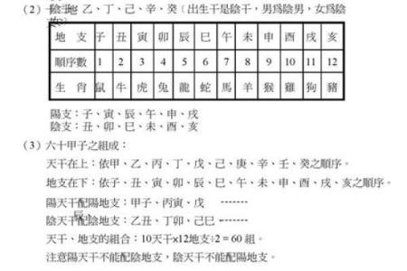 龙德紫薇斗数