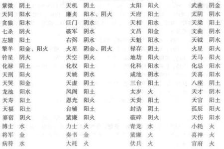中洲紫薇斗数
