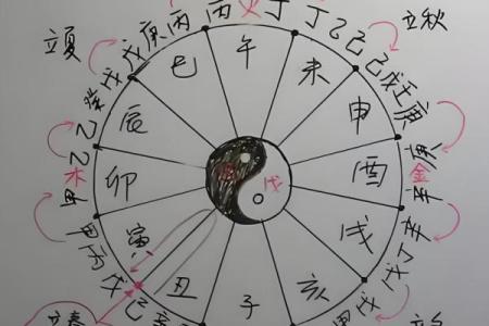八字十二地支详解