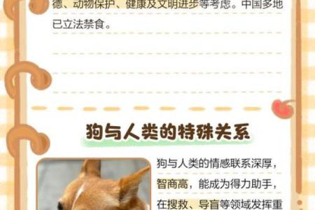 哪些人八字中不宜吃狗肉