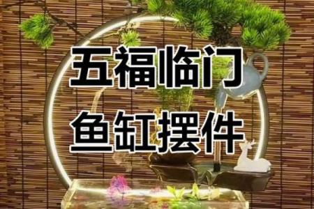 摆鱼缸的风水禁忌