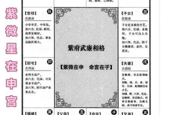 紫薇斗数科甲星