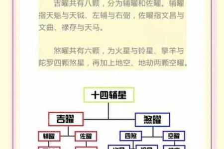 紫薇斗数明日运势