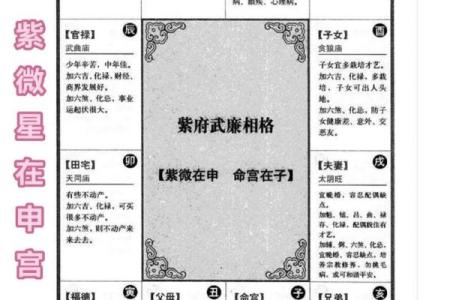 紫薇斗数科甲星