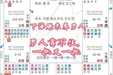 紫微斗数看事业／学业