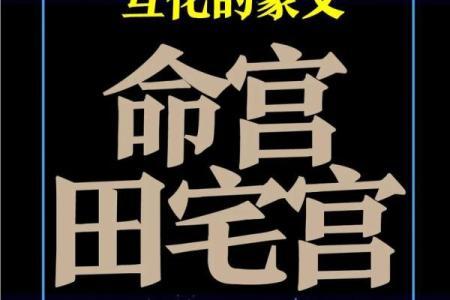 紫薇斗数看兄弟宫化权