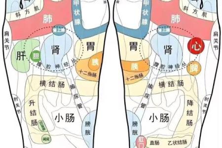 痣相风水脚底有痣的人命运好不好