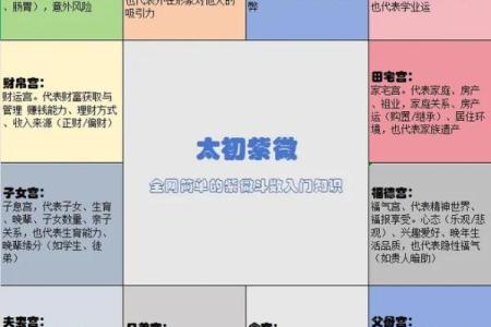 紫薇斗数宗师级