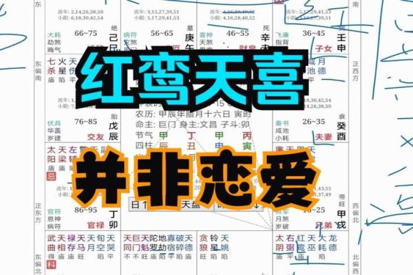 紫微斗数红鸾在官禄宫