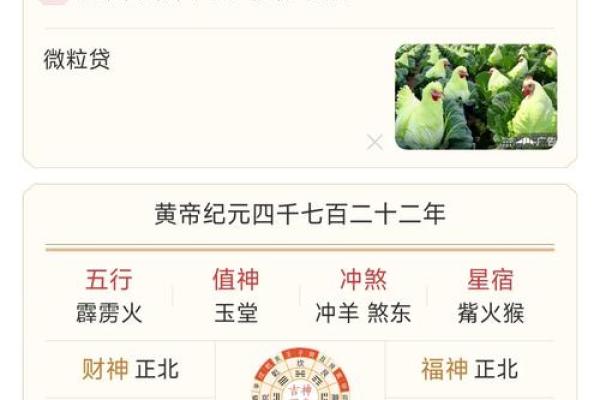 八字巳月