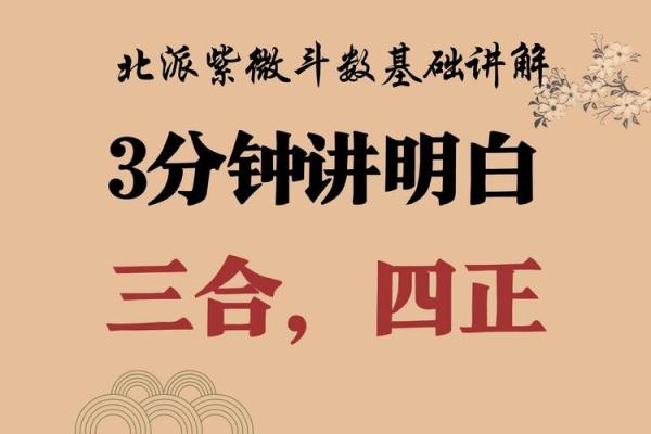 三合派紫微斗数 三合派紫微斗数讲义？