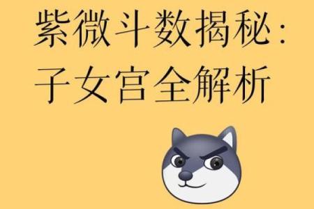 紫薇斗数子女宫看子女