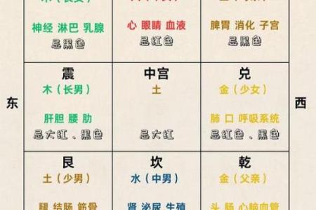 风水算命有什么区别
