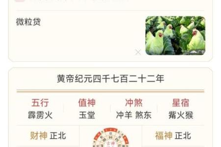八字巳月