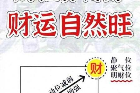你事业成功的四大家居风水要素