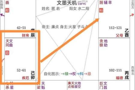 紫微斗数流年疾厄宫化科
