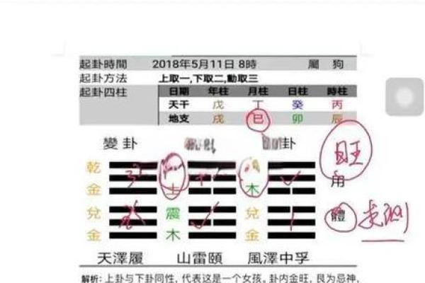 梅花易数排盘怎么解