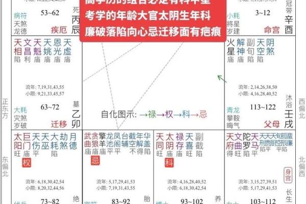 算命中天机什么意思