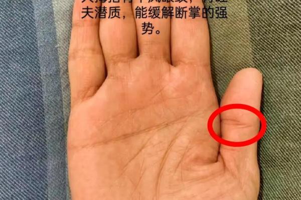 怎样看手相算命,如何学会看手相算命