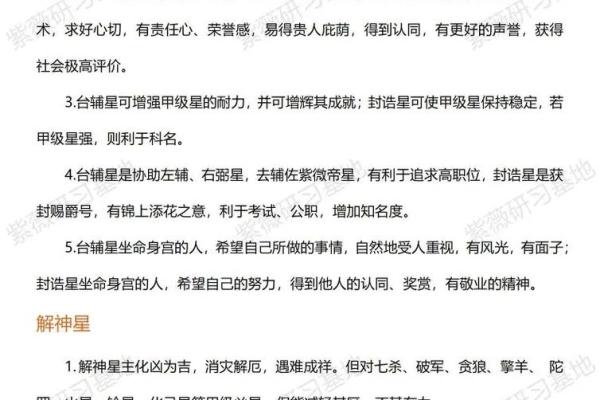紫薇斗数乙级星含义