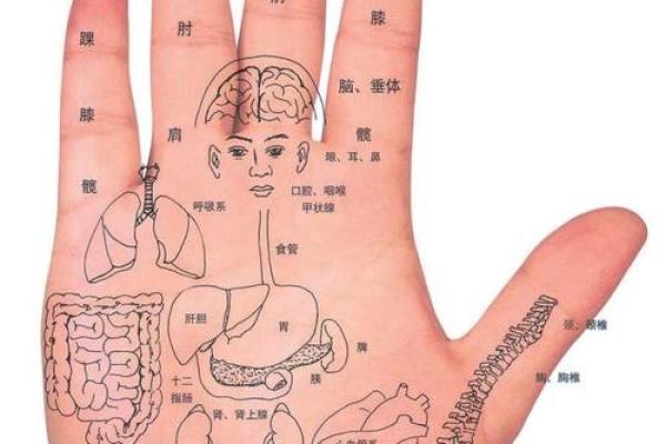 印度算命